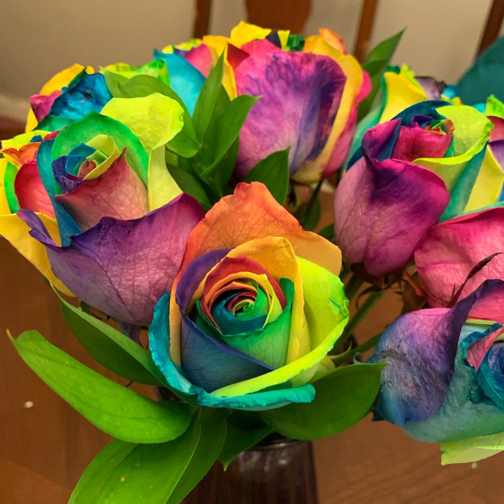 Meet your Posher, Kaila